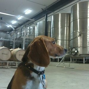 Meet your Posher, Ian